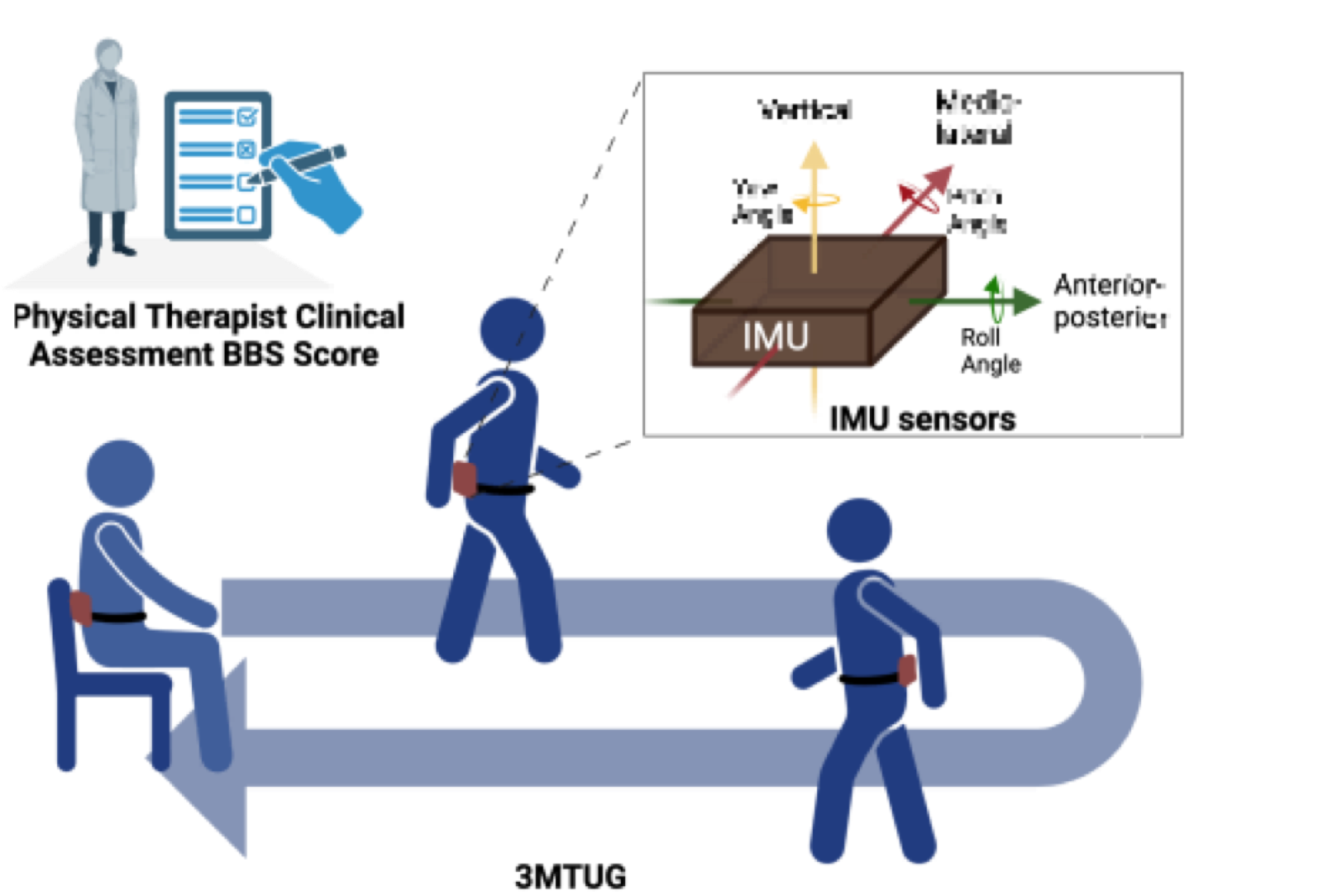 3MTUG Clinical Assessment